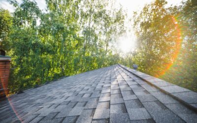 Ridgeline Roofing & Restoration’s Roofing Checklist for Homebuyers