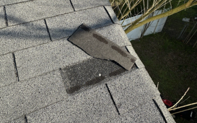 5 Things Your Roof Is Trying to Tell You (Before It’s Too Late)