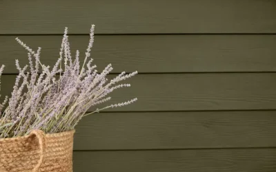 Which Siding Material Is Best for Your Home?