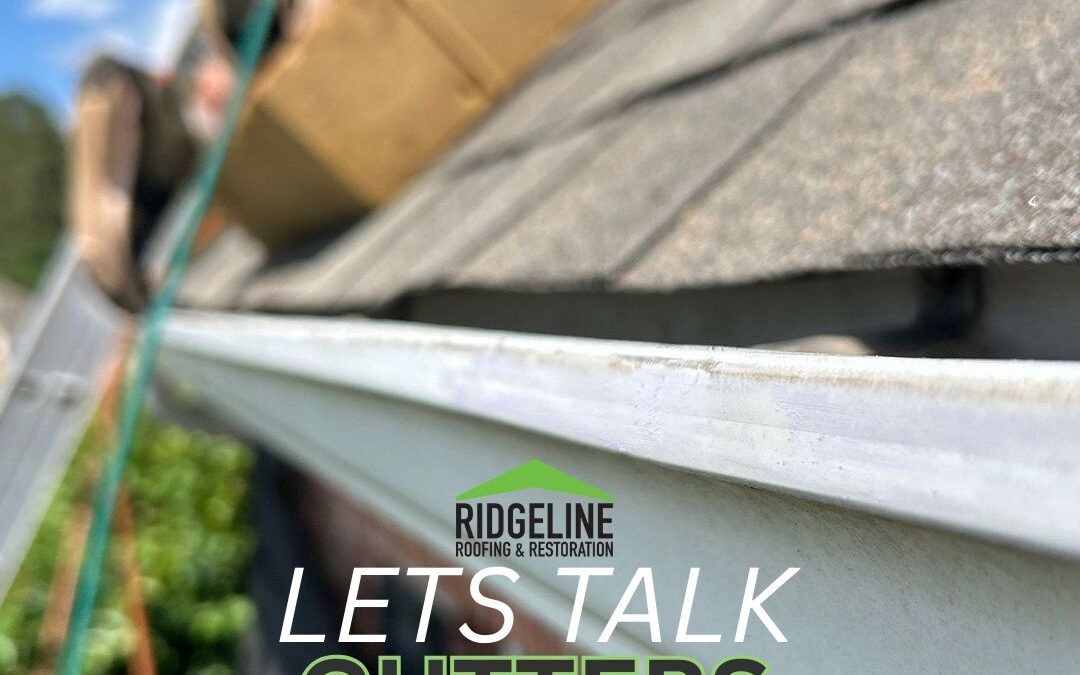 Roof and Gutter Cleaning Guide: How Often to Clean, What to Use & Why It Matters