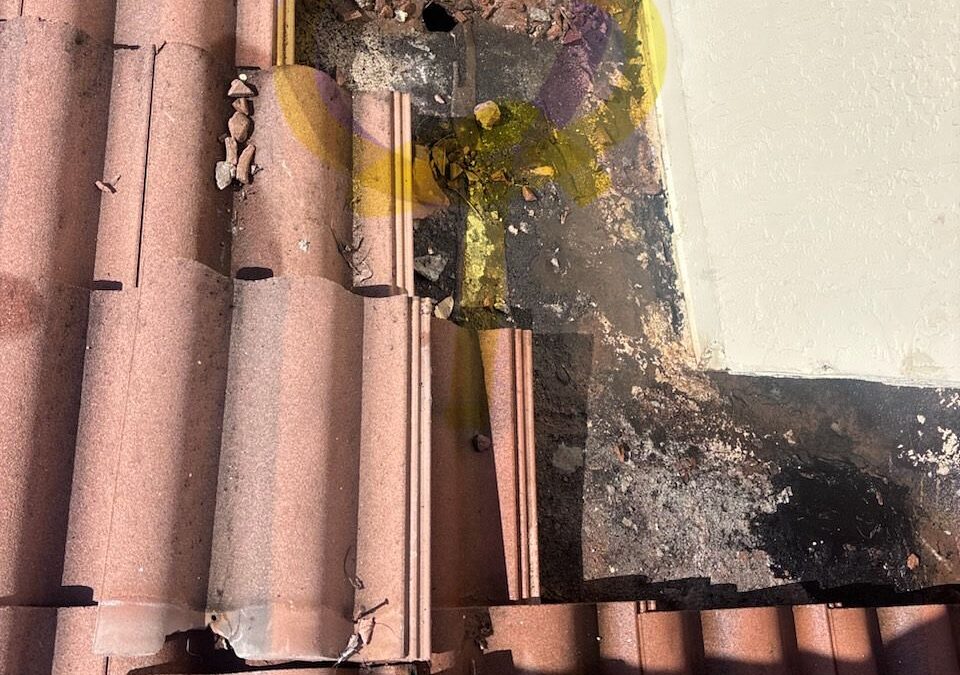 What to Do After Your Roof Is Hit by a Severe Storm