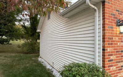 Most Popular Siding Colors Homeowners Are Choosing in 2026