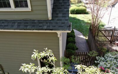 Top Siding Trends for Modern and Traditional Homes This Year