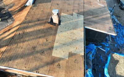 The Most Durable Roofing Materials for Moody Heat and Humidity