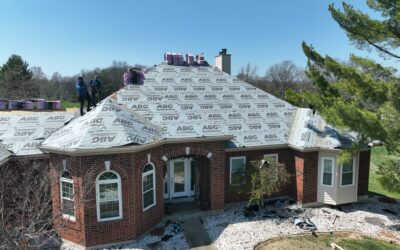 Spring Cleaning – Why Your Roof Needs Attention